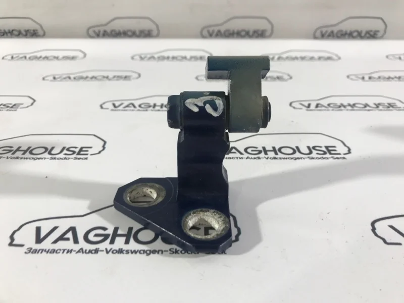 Петля двери задняя правая Volkswagen Passat B6 3С