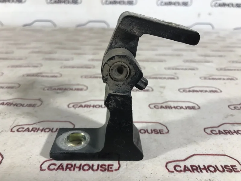 Петля двери передняя левая Volkswagen Touareg NF