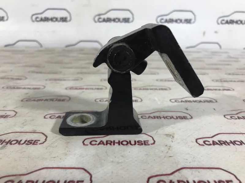 Петля двери задняя правая Volkswagen Touareg NF