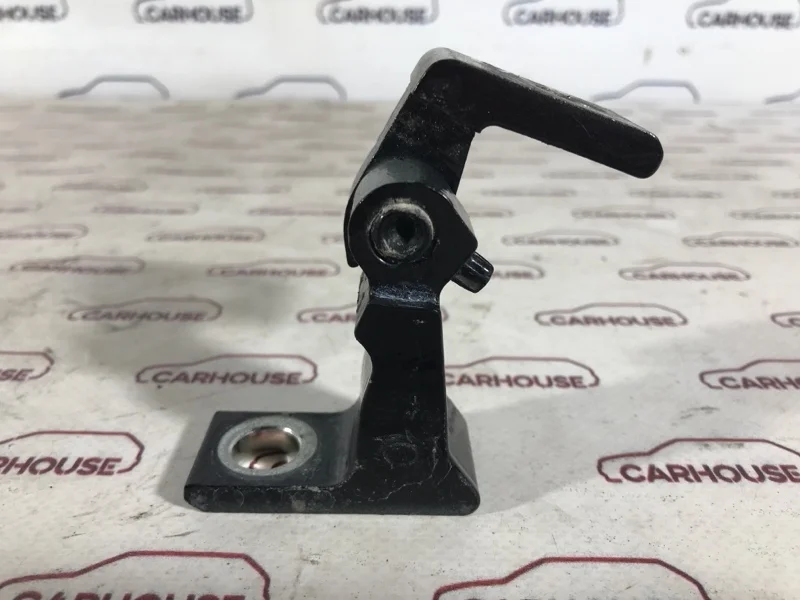 Петля двери задняя левая Volkswagen Touareg NF 3.0