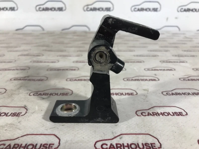 Петля двери задняя левая Volkswagen Touareg NF 3.0