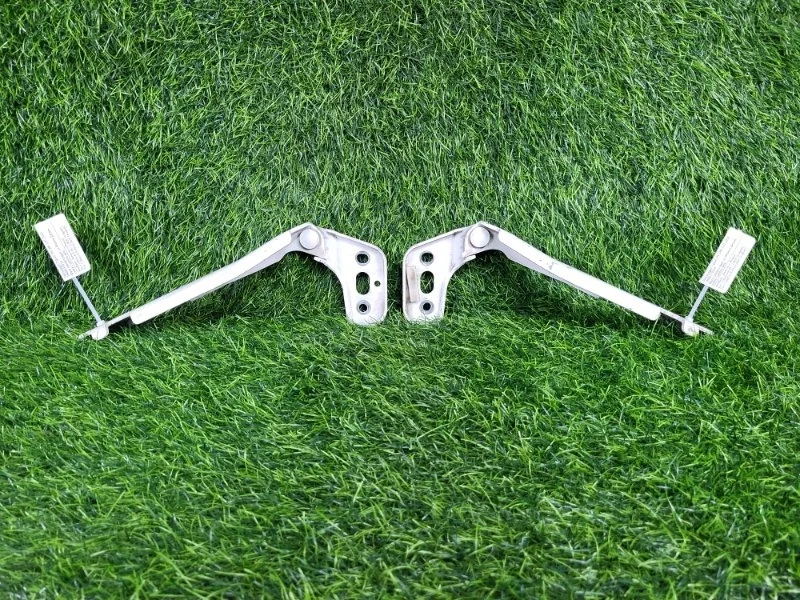 Петли капота Audi A6 2008 4F0823301 C6 BDX 2.8, передние