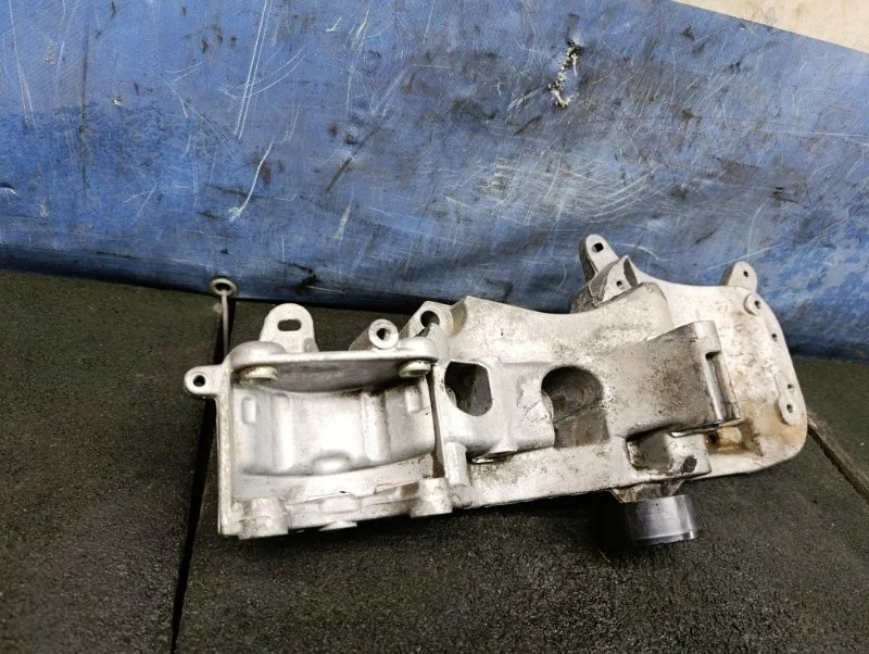 Кронштейн генератора и компрессора Renault Sandero 2013 688300553R BS11 1.6 K7M710