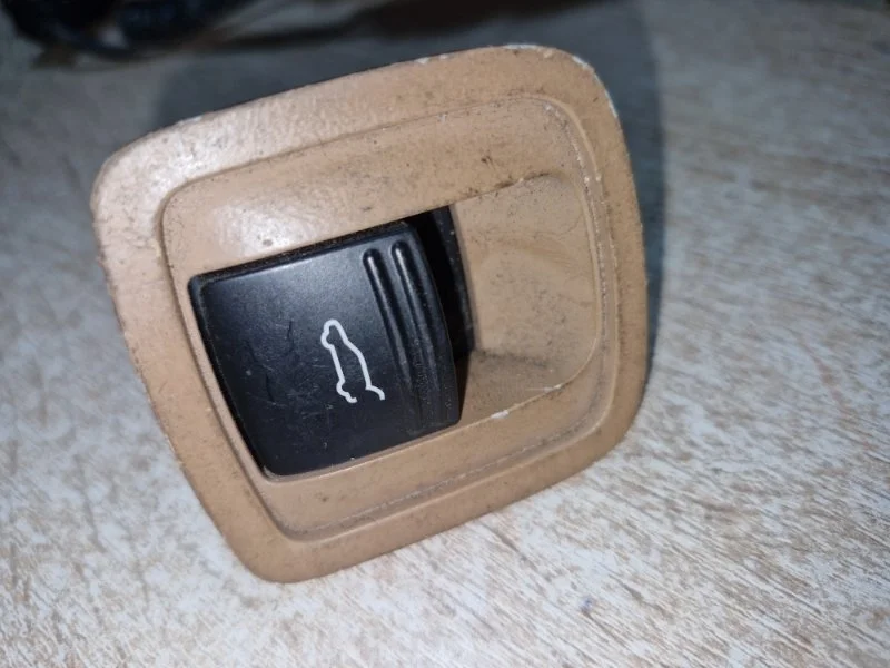 Кнопка крышки багажника Porsche Cayenne 2005 955