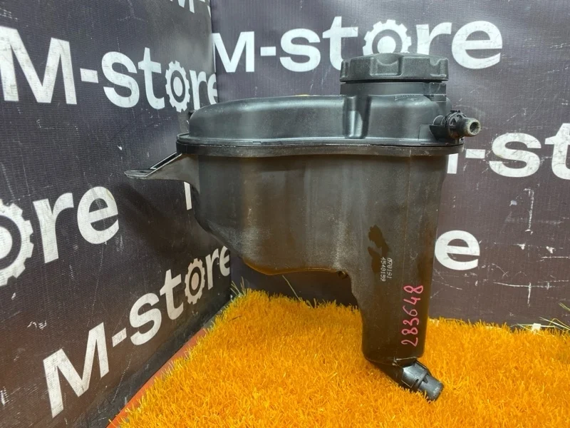 Бачок расширительный Bmw 3-Series 2007 17137543026 E90 N46B20B
