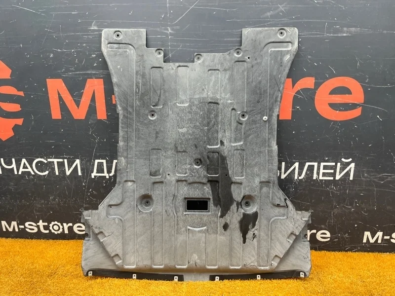 Защита двигателя Bmw X3 2012 51757253942 F25 N20B20A