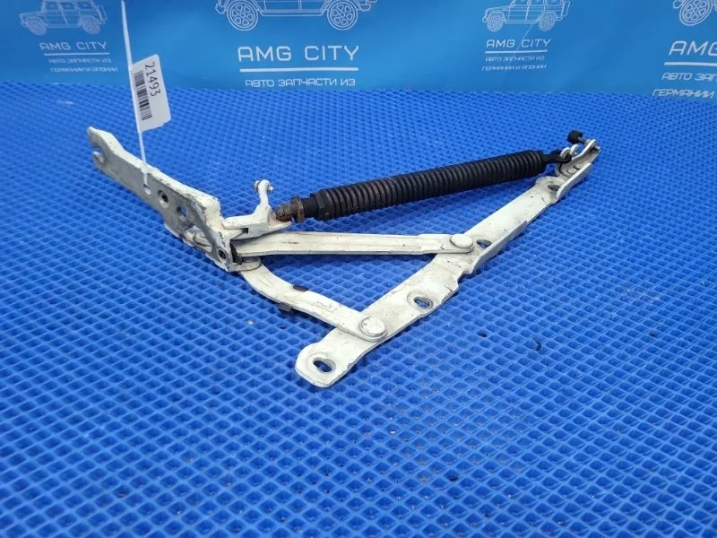 Петля крышки багажника Mercedes-Benz S-Class 2003 A2207500987 W220 M275950, задняя левая