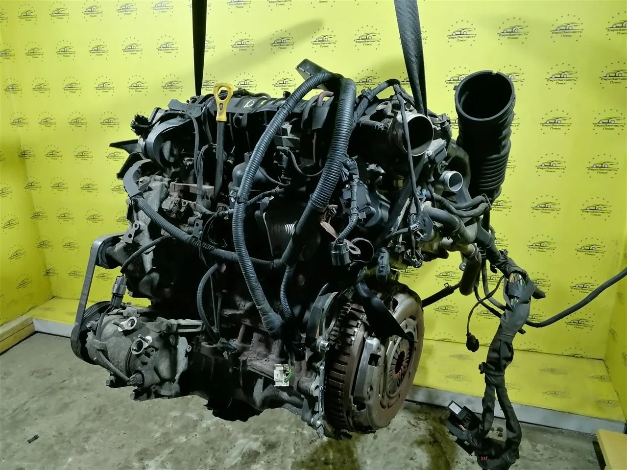 Двигатель Kia Sportage 3 D4FD SL D4FD