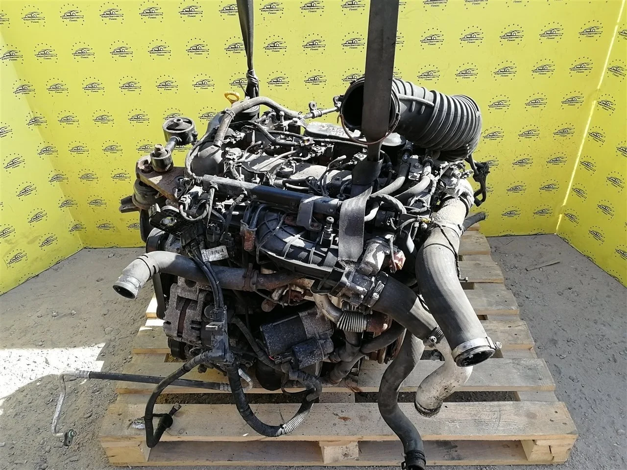 Двигатель Kia Sportage 3 D4HA SL D4HA