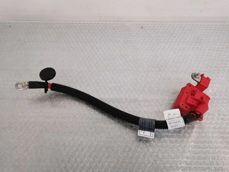 Клемма аккумуляторная плюсовая BMW X5 2011 61129217004 E70 N55B30