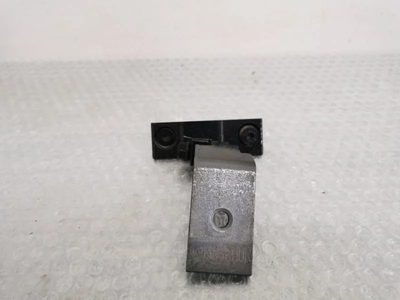 Петля двери Bmw X5 2011 41527201302 E70 N55B30, задняя правая