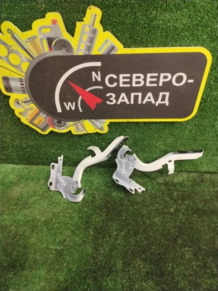 Петля капота Lexus RX300 2022 5341048150 AGL25L 8ARFTS, правая