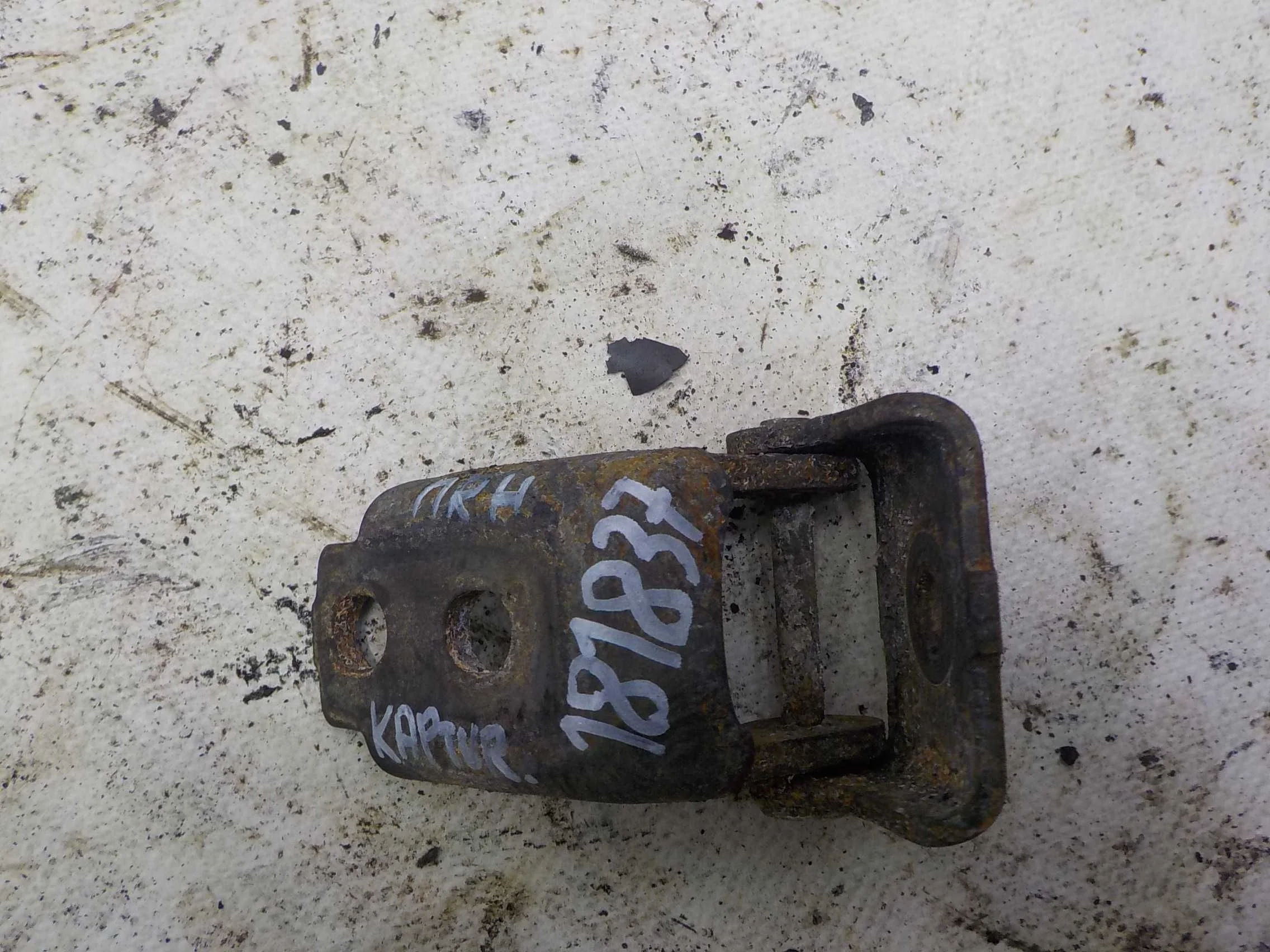 Петля двери Renault Megane III (2008—2014) Перед Право Низ