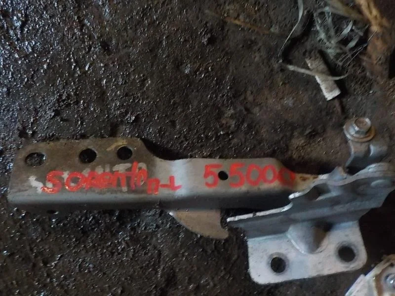 Петля капота Kia Sorento I (2002—2006) Перед Лево