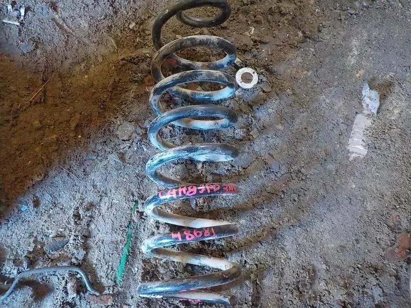 пружина Renault Sandero I (2009—2014) Зад