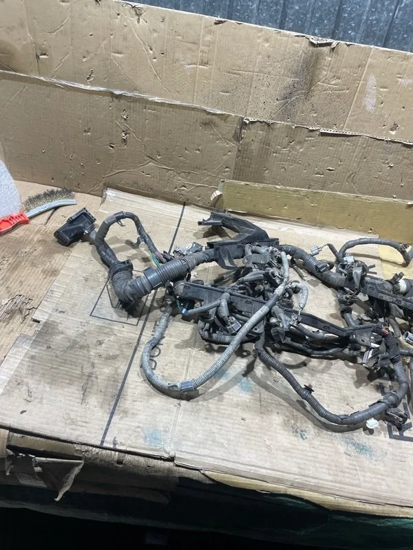 Проводка (коса) Toyota Land Cruier 2007-2015 8212160D90 1VD-FTV