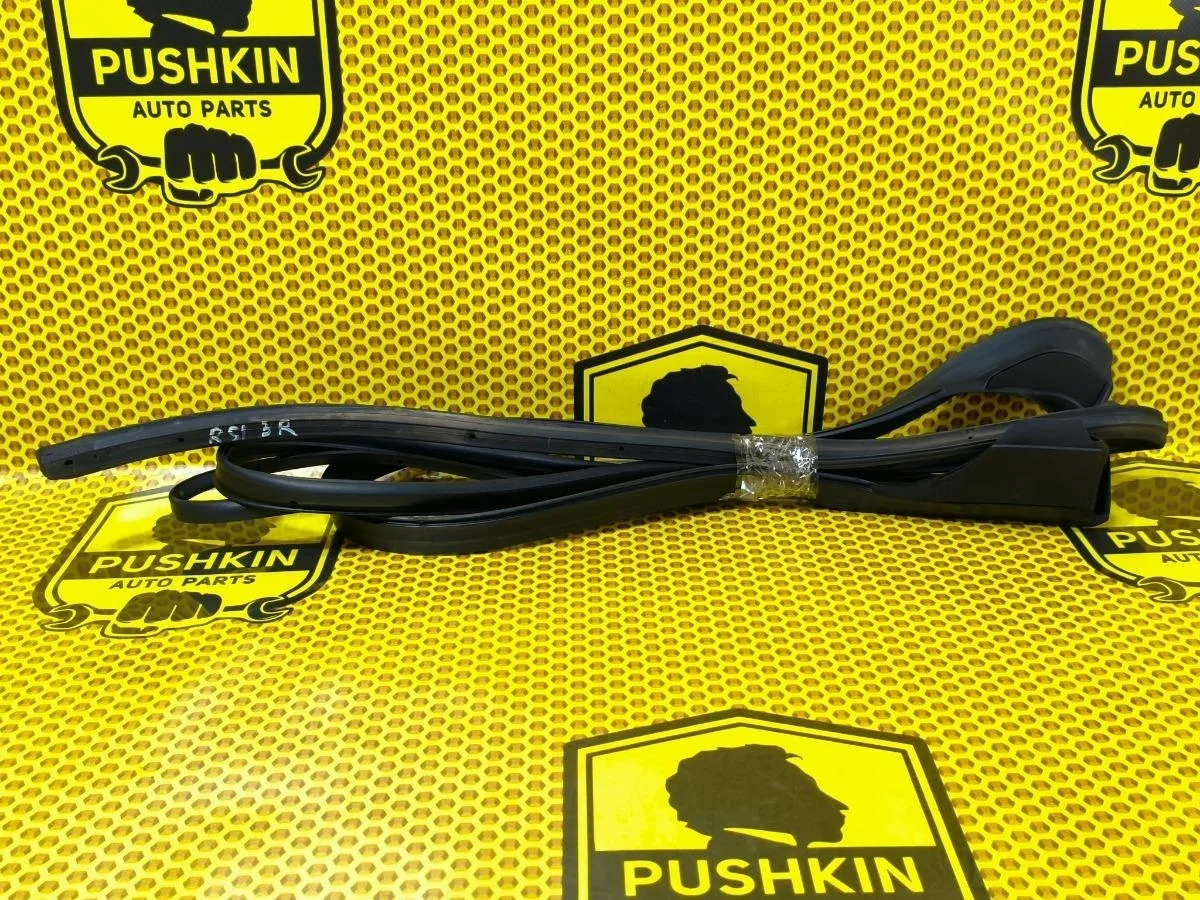 Уплотнитель на дверь Nissan Pathfinder 2011 82830EB300 R51 V9X, задний правый