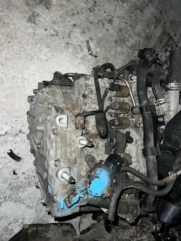 Вариатор акпп Honda Freed