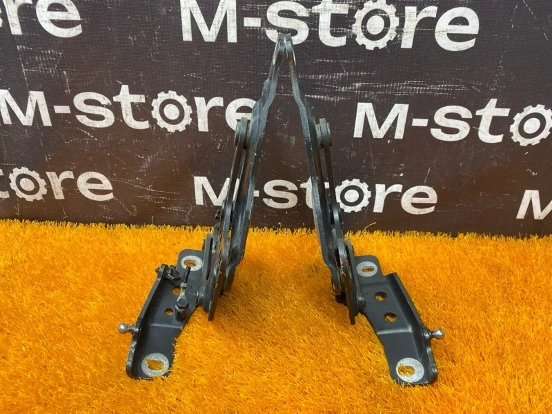 Петля капота Bmw X5 2008 7148348 E70 N52B30A