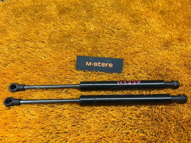 Амортизатор капота Land Rover Range Rover 2006 BKK760010 L322 448PN