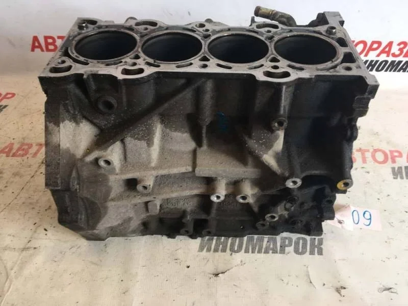 Блок двигателя Mazda Mazda 6 (GG) 2002-2007