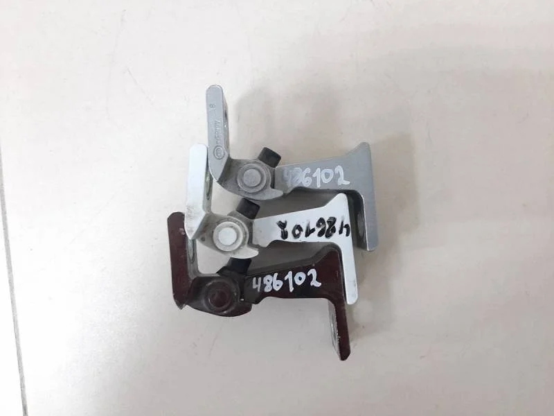 Петля двери Volkswagen Tiguan 2017>