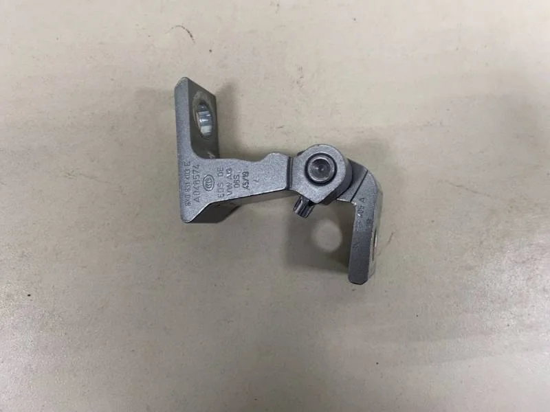 Петля двери Volkswagen Tiguan 2017>