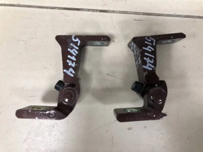 Петля двери Volkswagen Tiguan 2017>