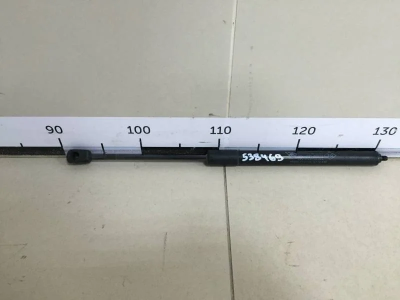 Амортизатор двери багажника Renault Duster 2012>