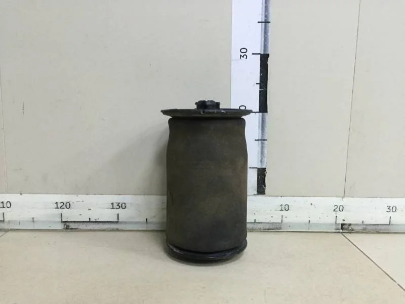 Воздушная подушка (опора пневматическая) BMW X5 F15/F85 2013>