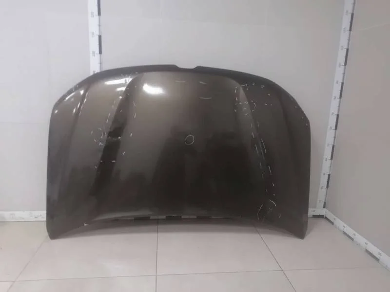 Капот Renault Duster (HM) 2020>