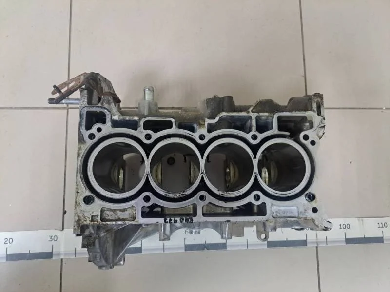 Блок двигателя Renault Duster 2012>