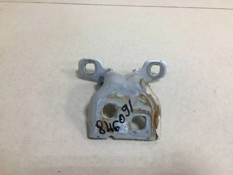 Петля двери Renault Duster 2012>