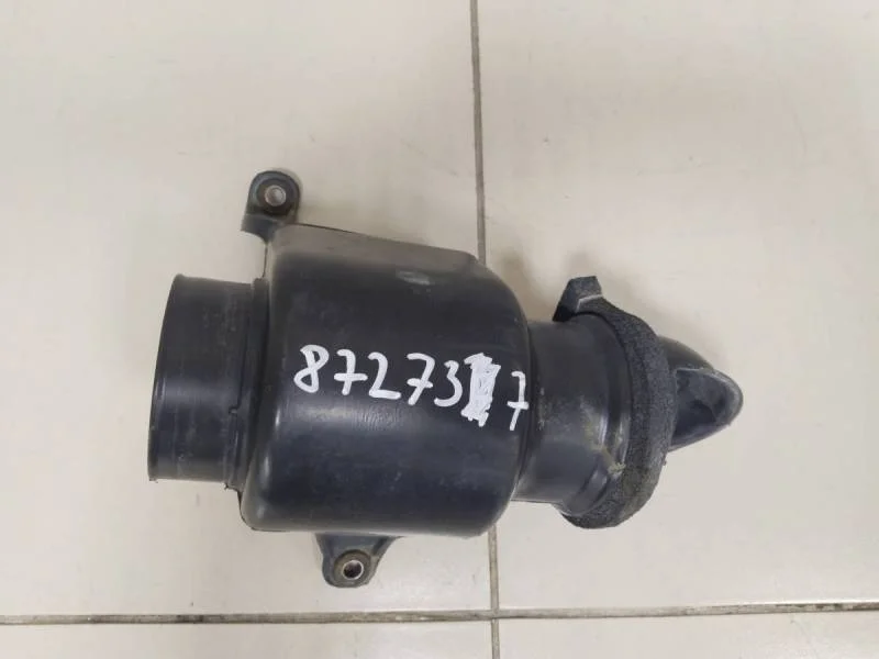 Воздухозаборник (наружный) Toyota Land Cruiser Prado (J120) 2002-2009