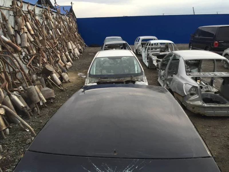 Крыша Renault Sandero 2009-2014