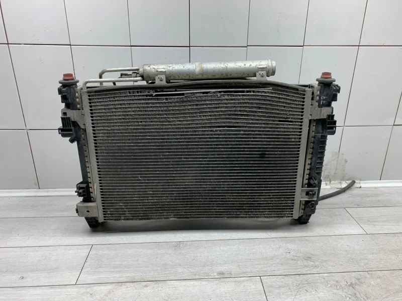 Кассета радиаторов в сборе MERCEDES-BENZ A-CLASS 2008 A1695000503 266.920 30 542505