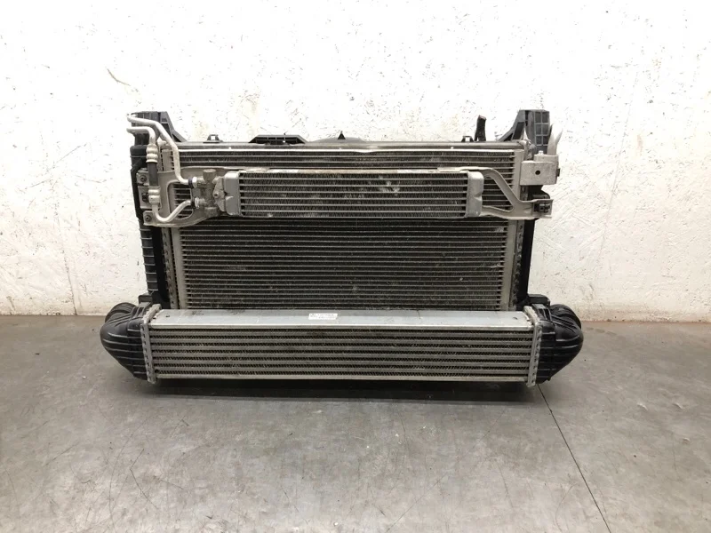 Кассета радиаторов в сборе MERCEDES-BENZ B-CLASS 2007 A1695000593 МИНИВЭН 640.941