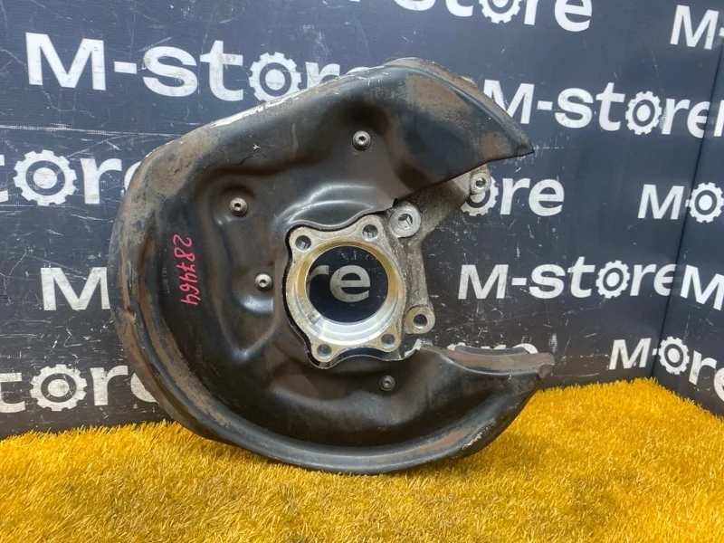 Кулак поворотный Volkswagen Passat Cc 2008 3C0505435G B6/358 BWS, задний левый