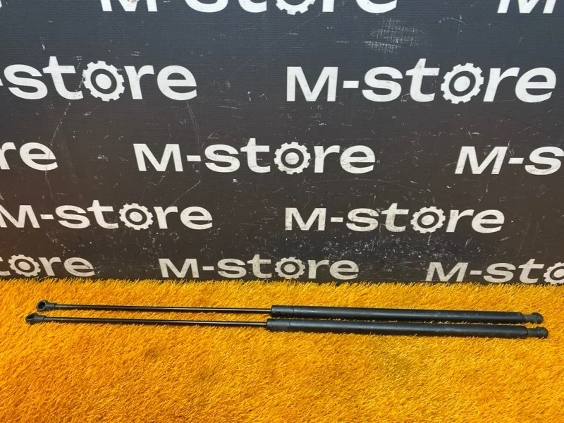 Амортизатор капота Bmw 7-Series 2002 51238240596 E66/E65 N62B44A.