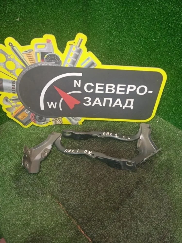 Петля капота Renault Arkana 2021 654012365R XJC H4M441, левая