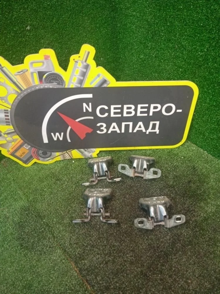 Петля двери Renault Arkana 2021 804207876R XJC H4M441, передняя левая