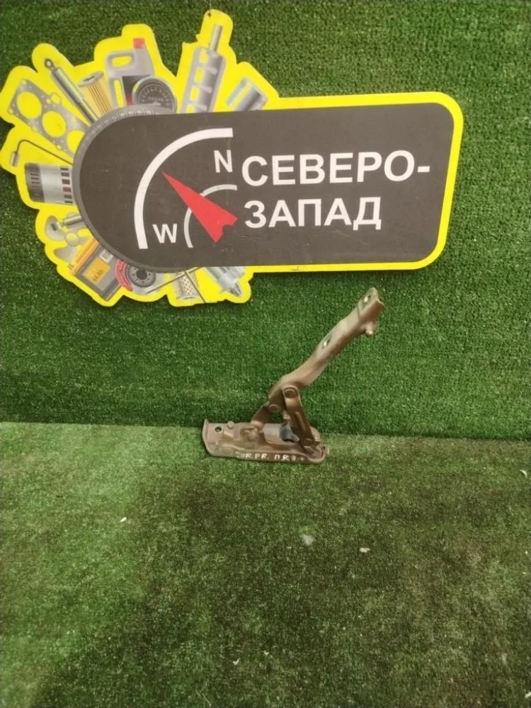 Петля капота Kia Sorento 2017 79120C5000 UM D4HB, правая