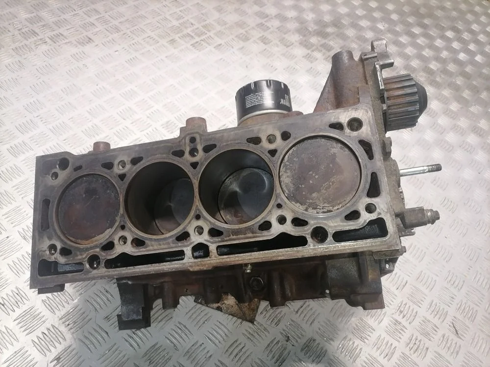 Блок двигателя Renault Logan