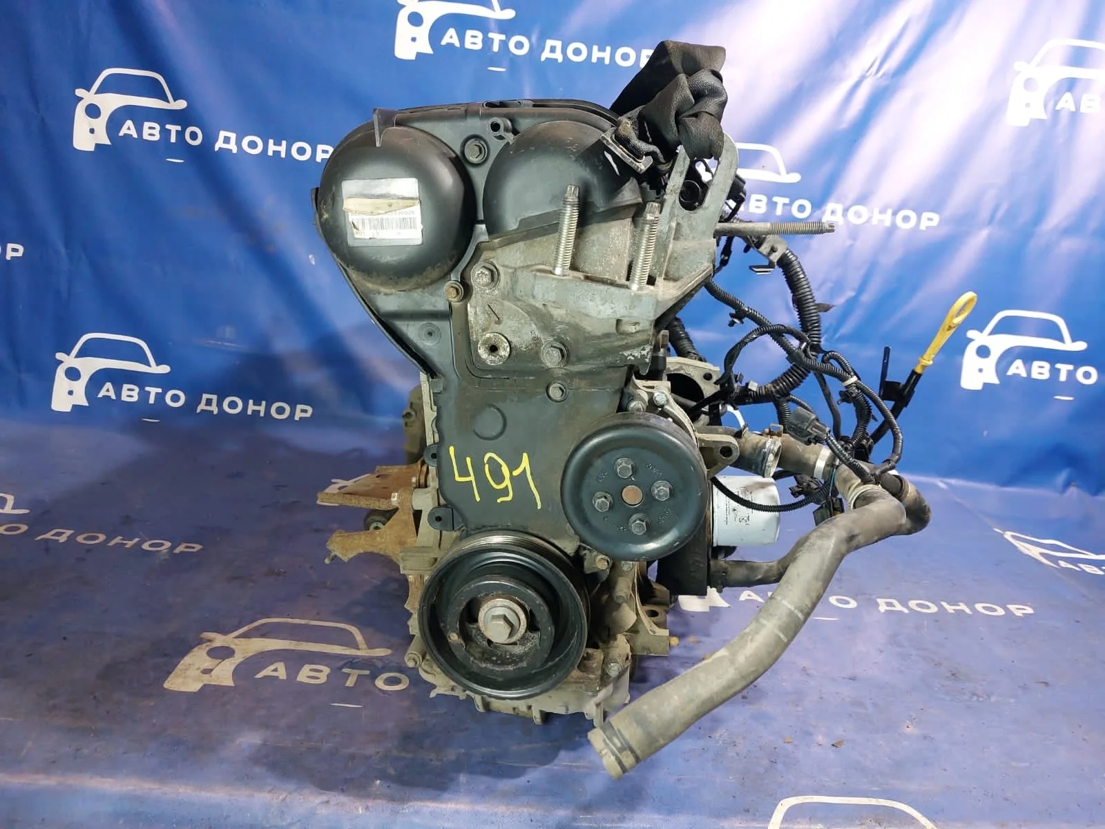 двигатель FORD FOCUS CB8 IQDB