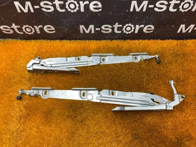 Петля багажника Mercedes-Benz S-Class 2003 A2207501087 W220 112.972