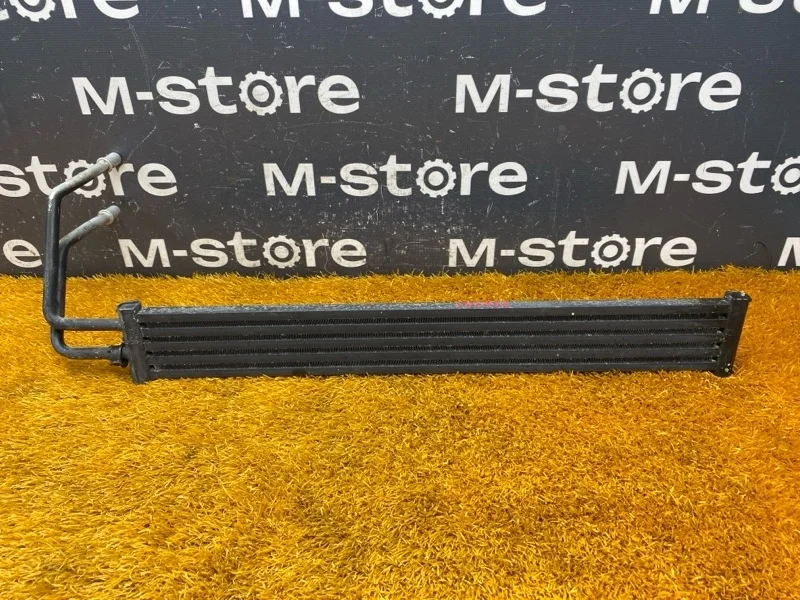 Радиатор гур Bmw 7-Series 2009 17217587551 F02 N63B44A
