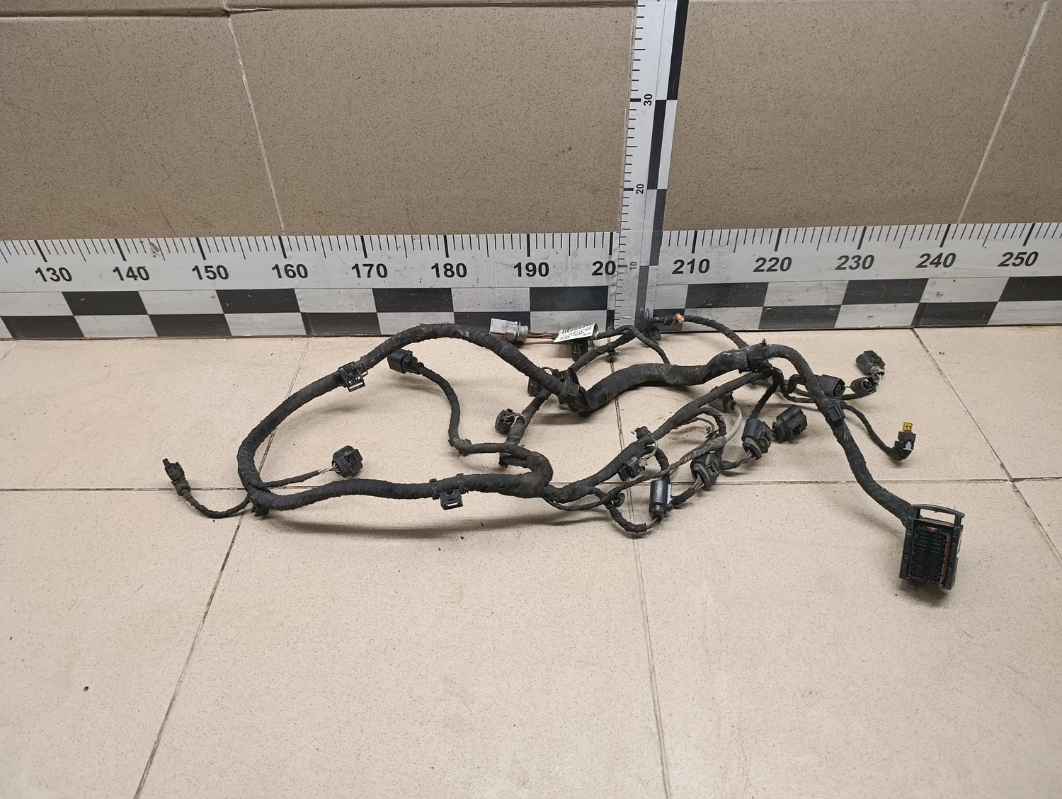 Проводка (коса) Rapid 2013>