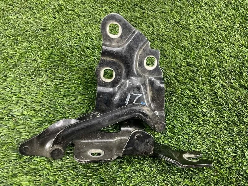 Петля капота BMW X3 2012 41617262876 F25 N20B20, правая