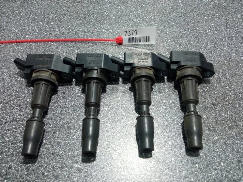 Катушка зажигания Hyundai Santa Fe