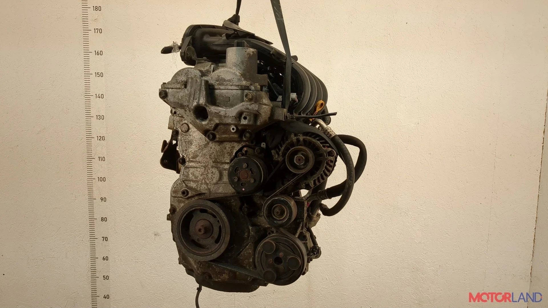 Двигатель (ДВС) Nissan Micra K12E 2002-2010 КПП 5-ст.мех.(МКПП) HR16DE Бензин 1.6 л Инжектор